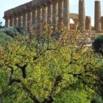 agrigento valle templi visita