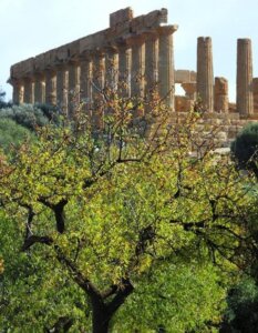 agrigento valle templi visita