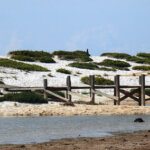 spiaggia mari ermi sinis