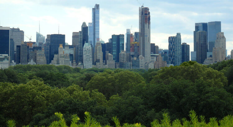 new york manhattan skyline metropolitan museum