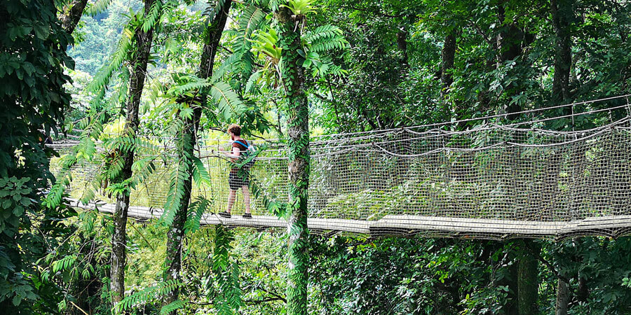 orto botanico balata martinica